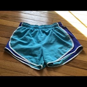 Nike Dry Fit Shorts